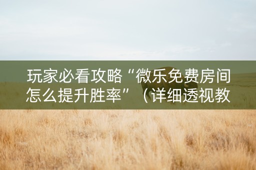 玩家必看攻略“微乐免费房间怎么提升胜率”（详细透视教程）-哔哩哔哩
