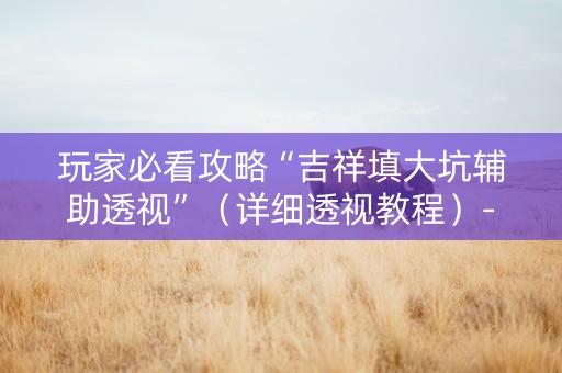 玩家必看攻略“吉祥填大坑辅助透视”（详细透视教程）-哔哩哔哩