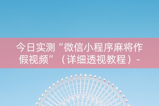 今日实测“微信小程序麻将作假视频”（详细透视教程）-哔哩哔哩