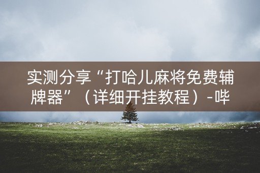 实测分享“打哈儿麻将免费辅牌器”（详细开挂教程）-哔哩哔哩