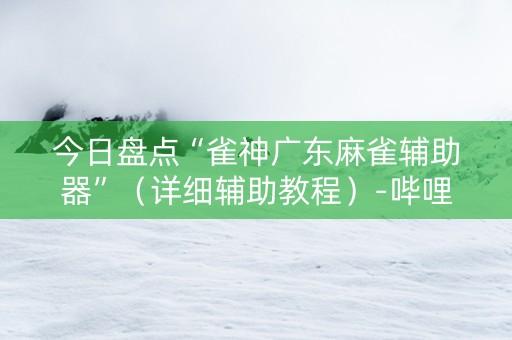 今日盘点“雀神广东麻雀辅助器”（详细辅助教程）-哔哩哔哩