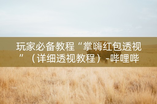 玩家必备教程“掌嗨红包透视”（详细透视教程）-哔哩哔哩