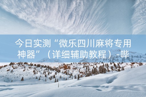 今日实测“微乐四川麻将专用神器”（详细辅助教程）-哔哩哔哩