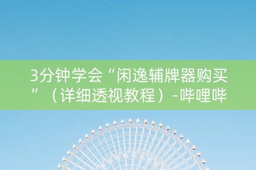 3分钟学会“闲逸辅牌器购买”（详细透视教程）-哔哩哔哩