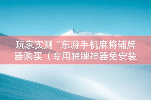 玩家实测“东游手机麻将辅牌器购买（专用辅牌神器免安装）