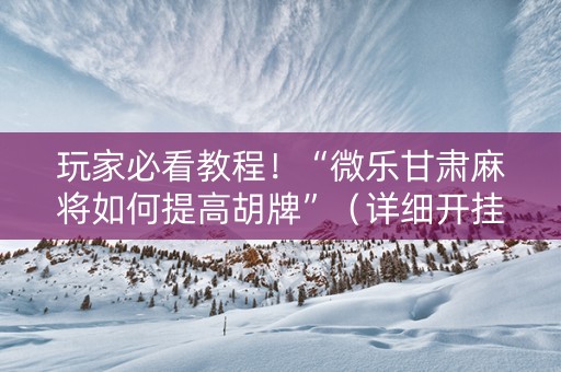 玩家必看教程！“微乐甘肃麻将如何提高胡牌”（详细开挂教程）-哔哩哔哩
