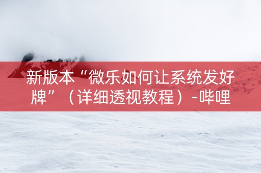 新版本“微乐如何让系统发好牌”（详细透视教程）-哔哩哔哩