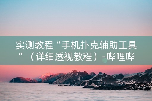 实测教程“手机扑克辅助工具”（详细透视教程）-哔哩哔哩