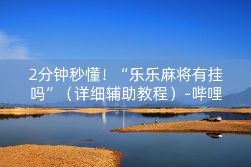 2分钟秒懂！“乐乐麻将有挂吗”（详细辅助教程）-哔哩哔哩