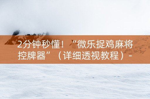 2分钟秒懂！“微乐捉鸡麻将控牌器”（详细透视教程）-哔哩哔哩