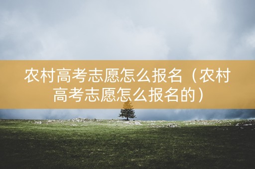 农村高考志愿怎么报名（农村高考志愿怎么报名的）