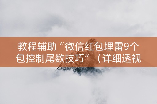 教程辅助“微信红包埋雷9个包控制尾数技巧”（详细透视教程）-哔哩哔哩