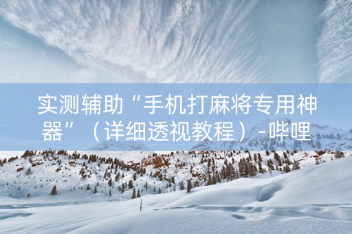 实测辅助“手机打麻将专用神器”（详细透视教程）-哔哩哔哩