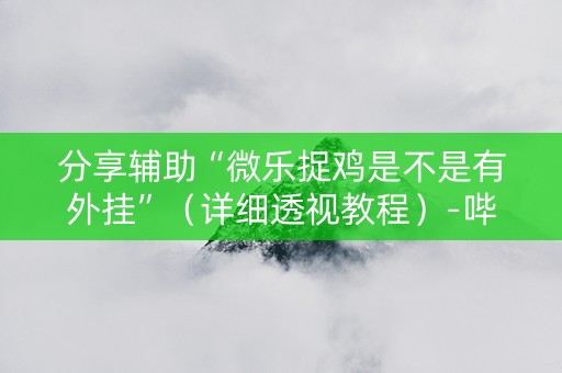 分享辅助“微乐捉鸡是不是有外挂”（详细透视教程）-哔哩哔哩