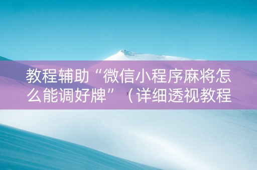 教程辅助“微信小程序麻将怎么能调好牌”（详细透视教程）-哔哩哔哩