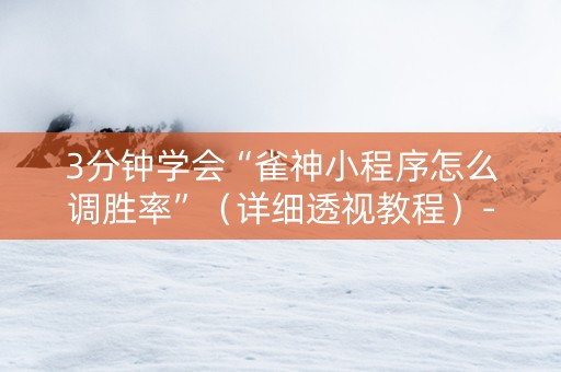 3分钟学会“雀神小程序怎么调胜率”（详细透视教程）-哔哩哔哩