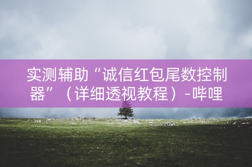实测辅助“诚信红包尾数控制器”（详细透视教程）-哔哩哔哩