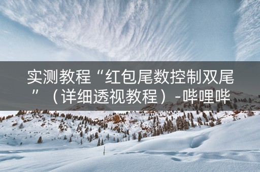 实测教程“红包尾数控制双尾”（详细透视教程）-哔哩哔哩