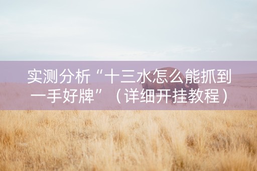 实测分析“十三水怎么能抓到一手好牌”（详细开挂教程）-哔哩哔哩