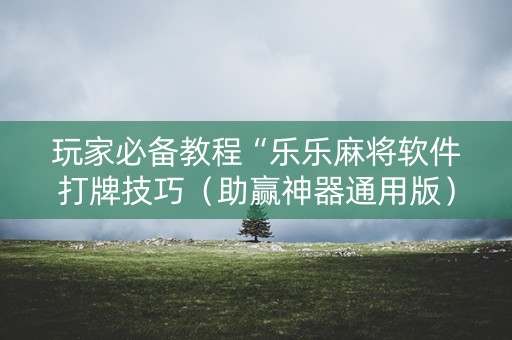 玩家必备教程“乐乐麻将软件打牌技巧（助赢神器通用版）