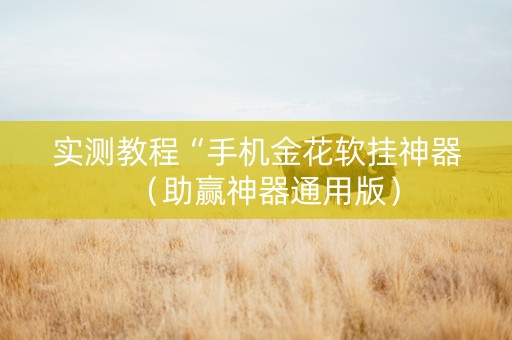实测教程“手机金花软挂神器（助赢神器通用版）