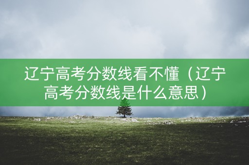 辽宁高考分数线看不懂（辽宁高考分数线是什么意思）
