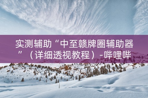 实测辅助“中至赣牌圈辅助器”（详细透视教程）-哔哩哔哩