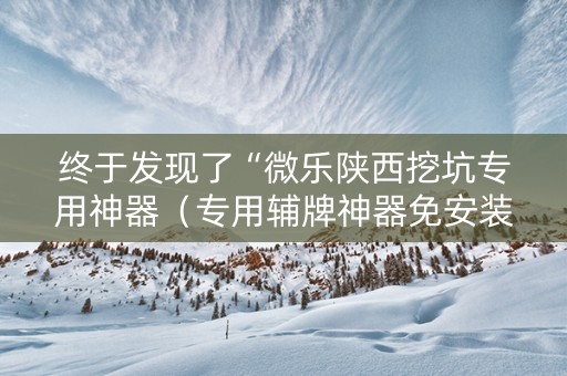 终于发现了“微乐陕西挖坑专用神器（专用辅牌神器免安装）