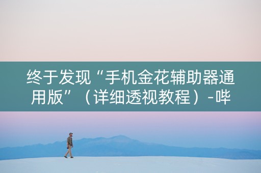 终于发现“手机金花辅助器通用版”（详细透视教程）-哔哩哔哩