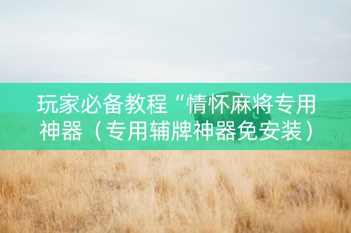 玩家必备教程“情怀麻将专用神器（专用辅牌神器免安装）
