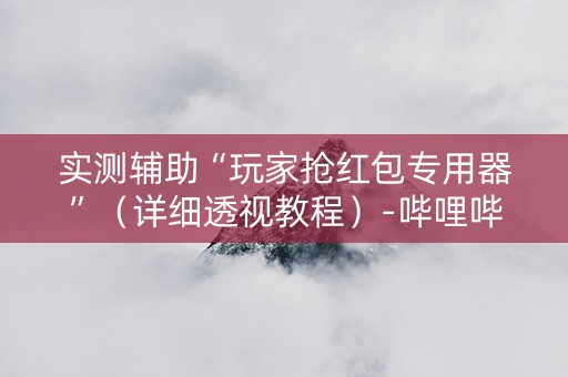 实测辅助“玩家抢红包专用器”（详细透视教程）-哔哩哔哩