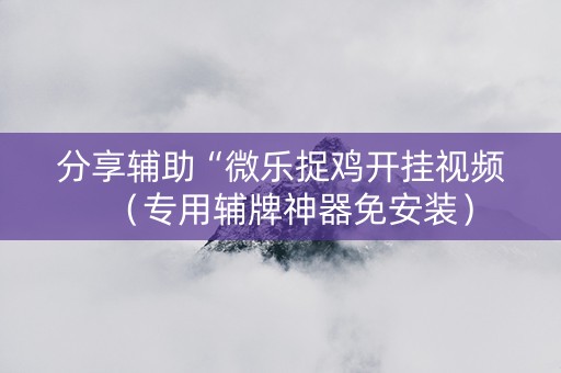 分享辅助“微乐捉鸡开挂视频（专用辅牌神器免安装）