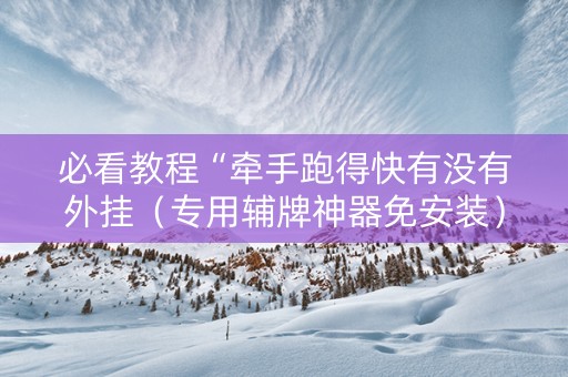 必看教程“牵手跑得快有没有外挂（专用辅牌神器免安装）