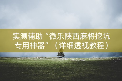 实测辅助“微乐陕西麻将挖坑专用神器”（详细透视教程）-哔哩哔哩
