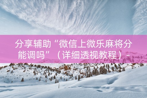 分享辅助“微信上微乐麻将分能调吗”（详细透视教程）-哔哩哔哩