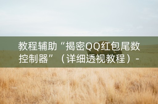 教程辅助“揭密QQ红包尾数控制器”（详细透视教程）-哔哩哔哩