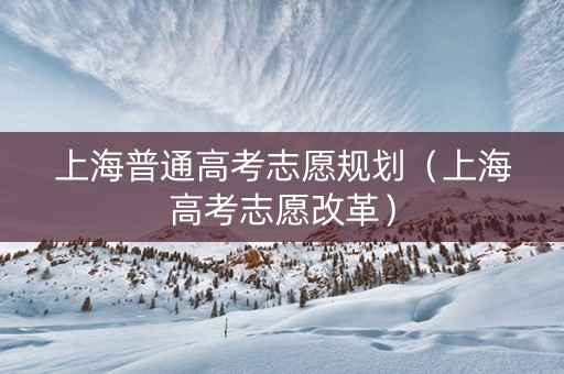 上海普通高考志愿规划（上海高考志愿改革）