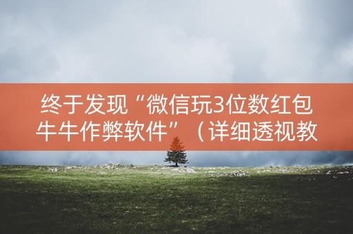 终于发现“微信玩3位数红包牛牛作弊软件”（详细透视教程）-哔哩哔哩