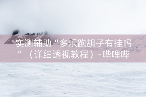 实测辅助“多乐跑胡子有挂吗”（详细透视教程）-哔哩哔哩