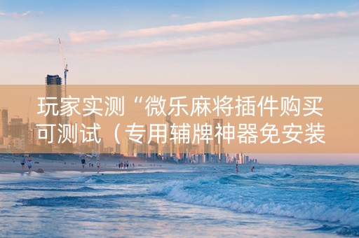 玩家实测“微乐麻将插件购买可测试（专用辅牌神器免安装）