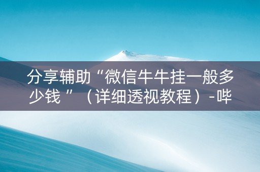 分享辅助“微信牛牛挂一般多少钱 ”（详细透视教程）-哔哩哔哩