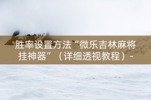 胜率设置方法“微乐吉林麻将挂神器”（详细透视教程）-哔哩哔哩