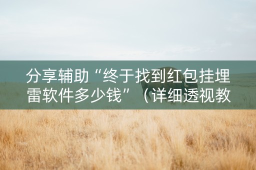 分享辅助“终于找到红包挂埋雷软件多少钱”（详细透视教程）-哔哩哔哩