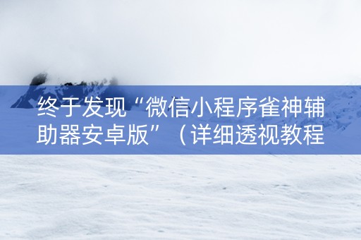终于发现“微信小程序雀神辅助器安卓版”（详细透视教程）-哔哩哔哩