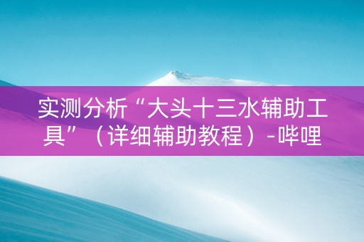 实测分析“大头十三水辅助工具”（详细辅助教程）-哔哩哔哩