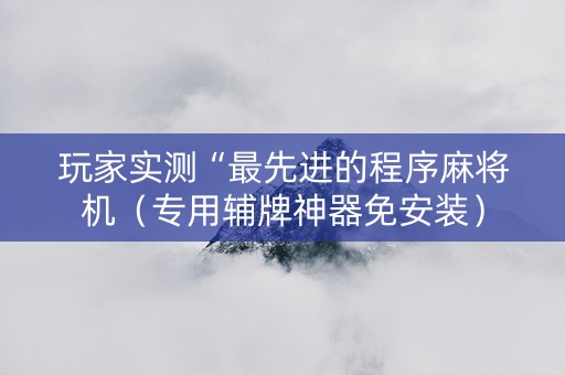 玩家实测“最先进的程序麻将机（专用辅牌神器免安装）