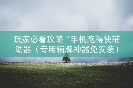 玩家必看攻略“手机跑得快辅助器（专用辅牌神器免安装）