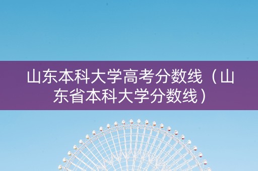 山东本科大学高考分数线（山东省本科大学分数线）