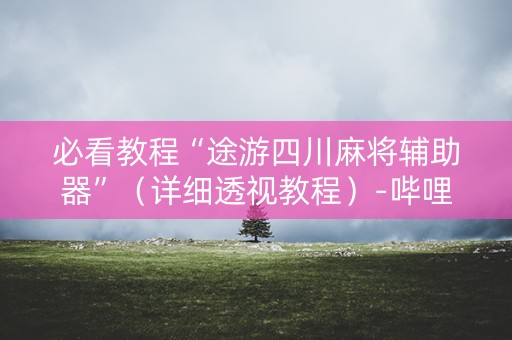 必看教程“途游四川麻将辅助器”（详细透视教程）-哔哩哔哩