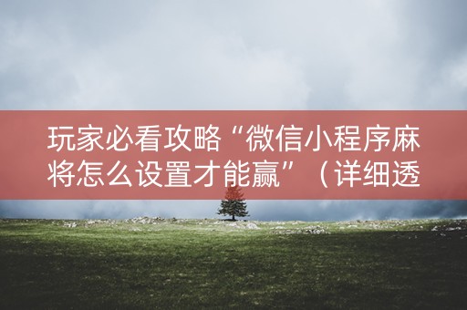 玩家必看攻略“微信小程序麻将怎么设置才能赢”（详细透视教程）-哔哩哔哩